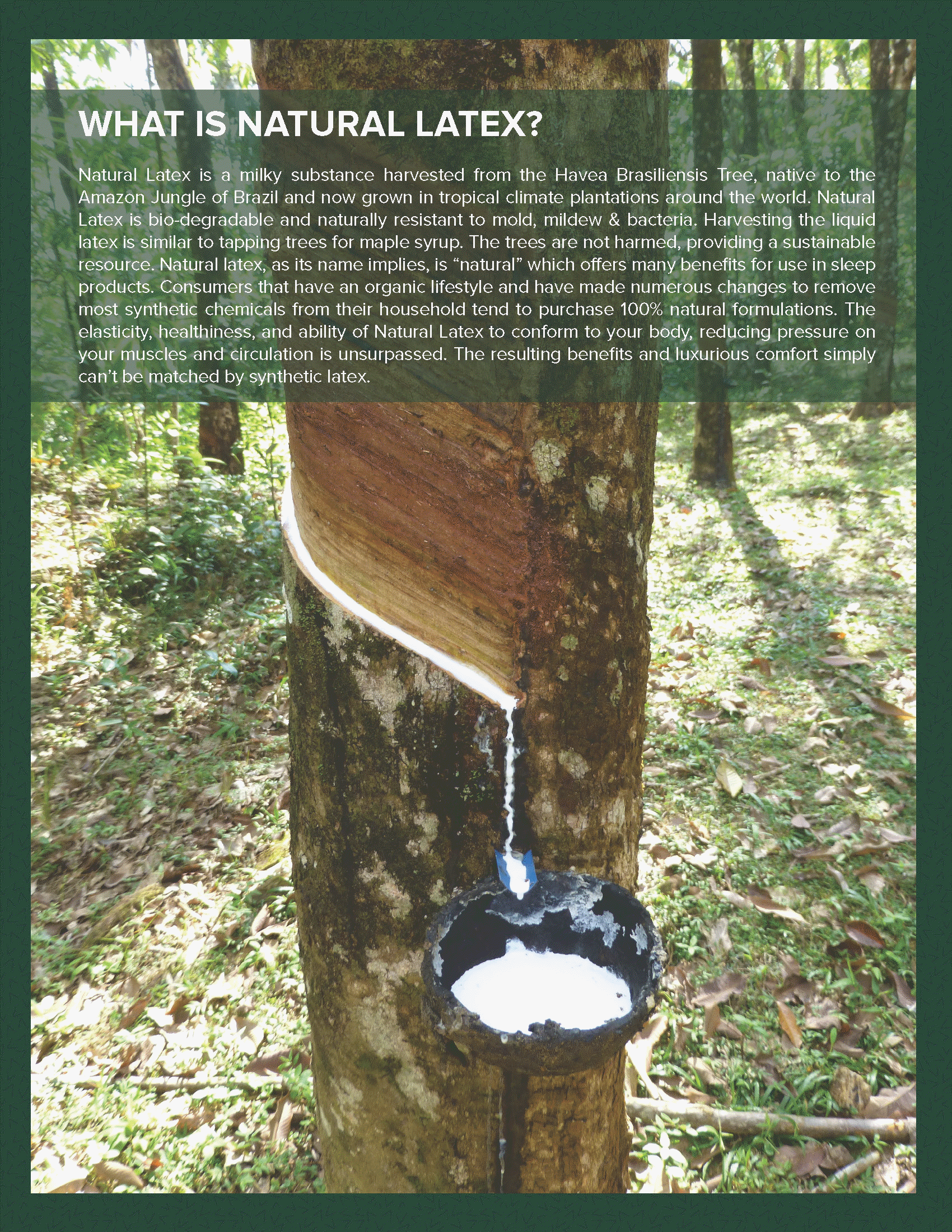 San Diego adjustable hospital bed mattresses