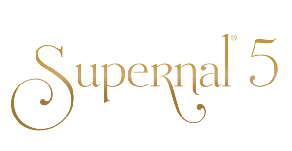 Los Angeles Supernal 5 hospital bed